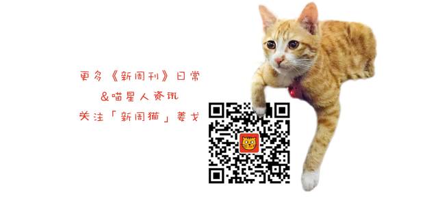 托运宠物找哪个平台最好_宠物托运_托运宠物飞机多少钱