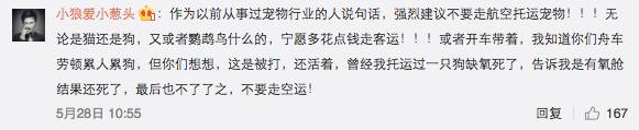 宠物托运_托运宠物飞机多少钱_托运宠物找哪个平台最好