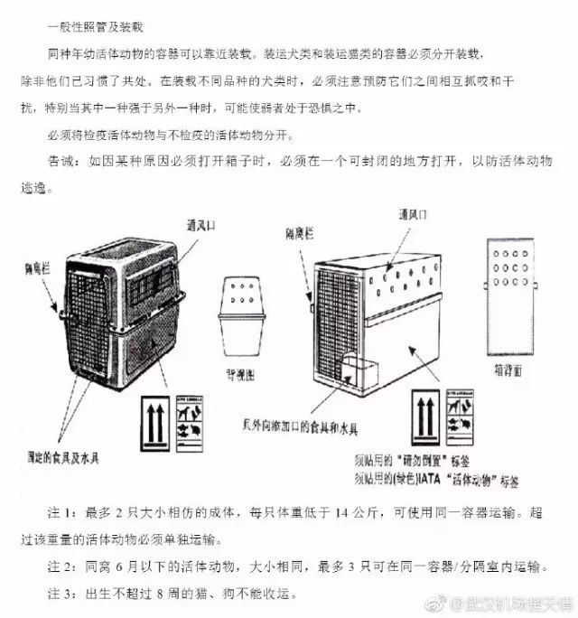 托运宠物找哪个平台最好_托运宠物飞机多少钱_宠物托运