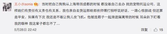 托运宠物飞机多少钱_宠物托运_托运宠物找哪个平台最好