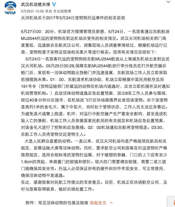 宠物托运_托运宠物飞机多少钱_托运宠物找哪个平台最好