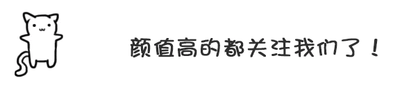 上海宠物托运_上海托运宠物多少钱_上海托运宠物到成都多少钱