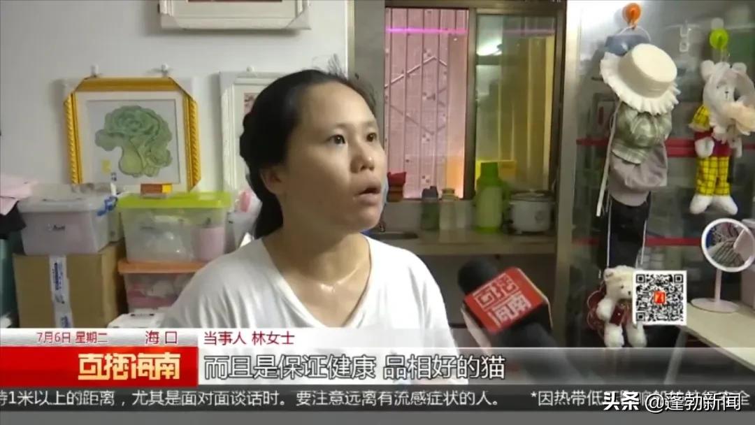 宠物用品一手货源批发市场_宠物随机_宠物托运顺丰宠必达