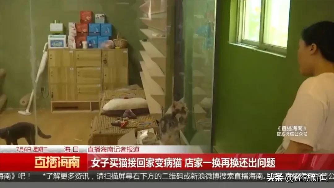 宠物用品一手货源批发市场_宠物随机_宠物托运顺丰宠必达