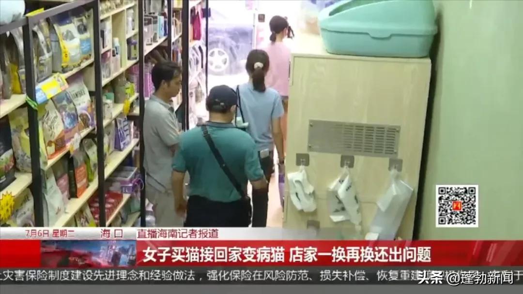 宠物托运顺丰宠必达_宠物随机_宠物用品一手货源批发市场