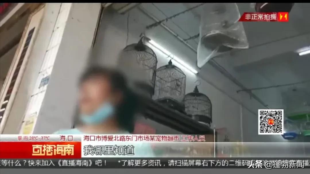 宠物随机_宠物用品一手货源批发市场_宠物托运顺丰宠必达