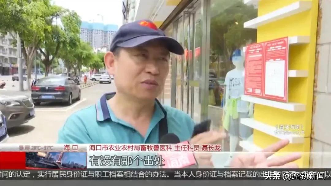 宠物随机_宠物用品一手货源批发市场_宠物托运顺丰宠必达