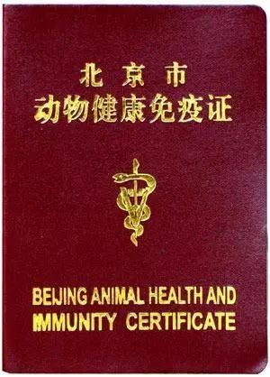 出国宠物需要什么手续_出国宠物托运收费标准_宠物出国