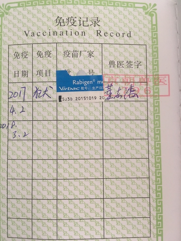 航空托运宠物需要什么条件_航空托运宠物电话_宠物航空托运