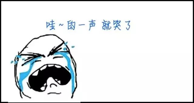 火车宠物托运收费标准_火车托运宠物收费价格_火车托运宠物多少钱一公斤