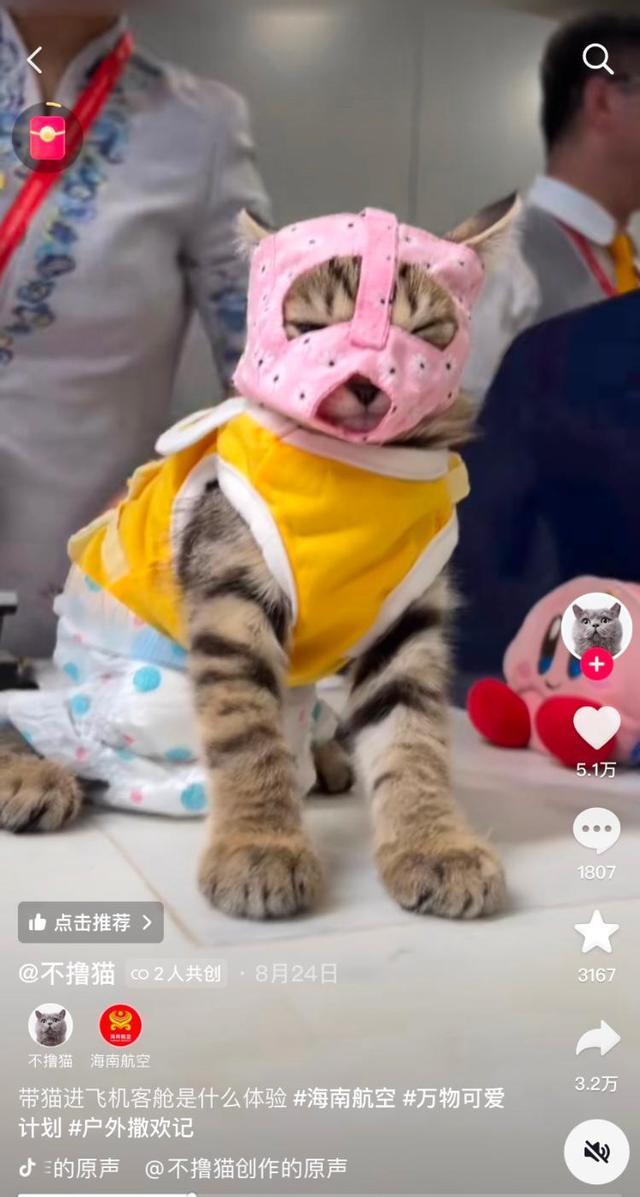 海航宠物托运收费标准_航空宠物托运收费_海航宠物托运航空箱要求