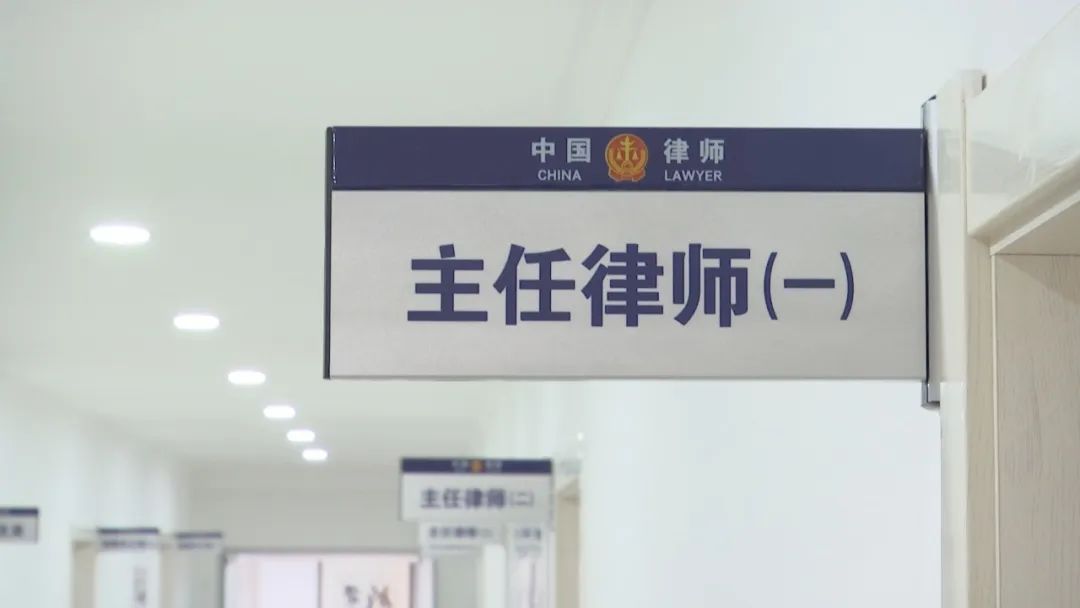 托运运输宠物公司怎么样_宠物托运运输公司_托运运输宠物公司怎么收费
