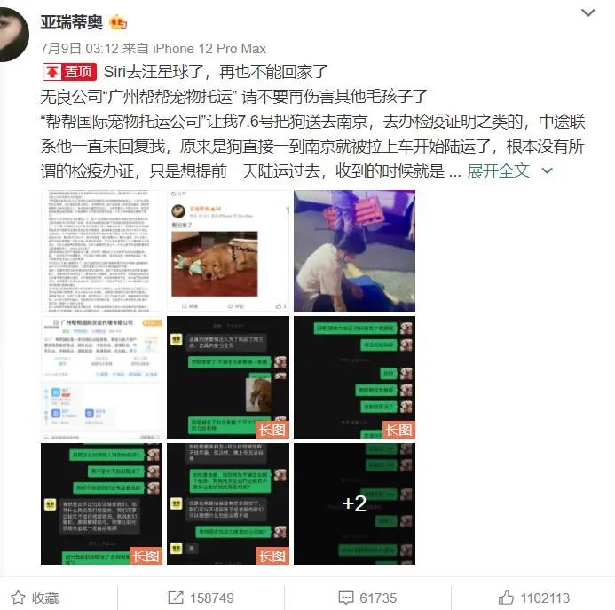 宠物国际运输需要什么文件_国际宠物运输_宠物国际运输费用