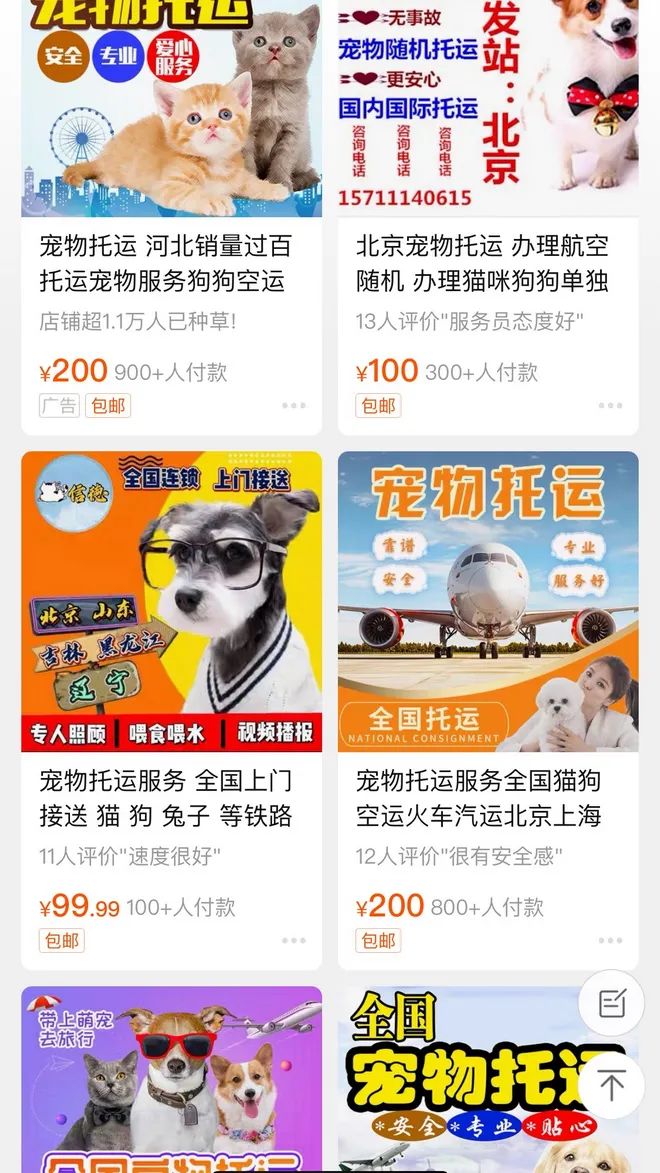 宠物国际运输需要什么文件_宠物国际运输费用_国际宠物运输