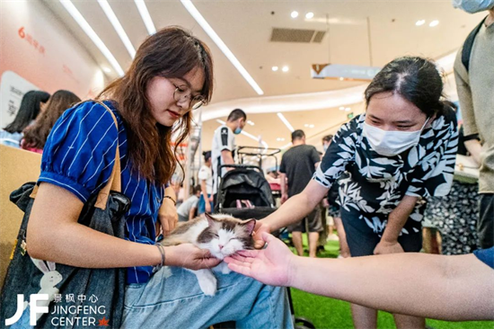 南京弘阳茂宠物服务_南京宠物友好商场_南京宠物市场哪个最大