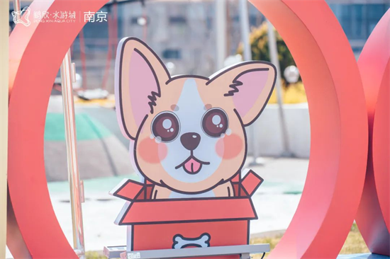 南京宠物友好商场_南京宠物市场哪个最大_南京弘阳茂宠物服务