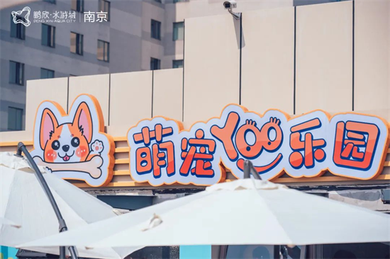 南京宠物市场哪个最大_南京弘阳茂宠物服务_南京宠物友好商场