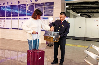 广州白云站高铁宠物托运服务_广州白云站宠物托运流程_火车宠物托运收费标准表最新