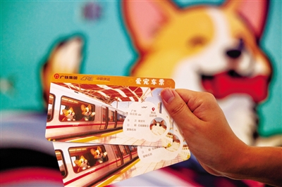 广州白云站宠物托运流程_火车宠物托运收费标准表最新_广州白云站高铁宠物托运服务