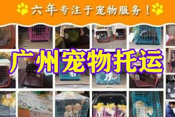 广州宠物空运运输价格_国际宠物托运公司